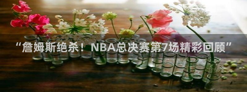 新宝5测速网站