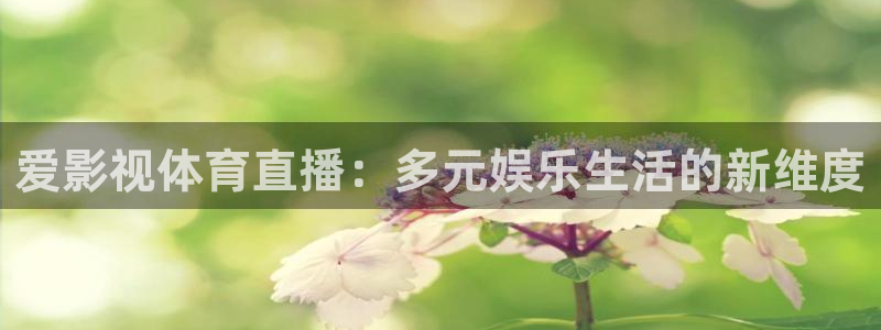 新宝5登录