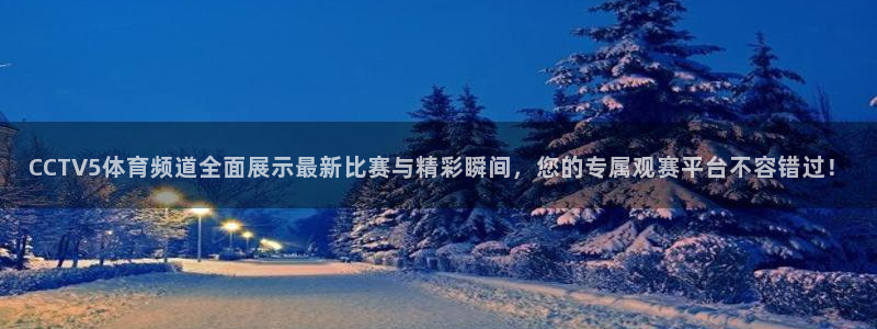 下载新宝5